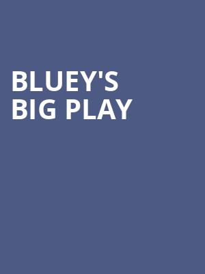 Blueys Big Play, Mead Theater, Dayton